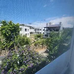 Cedi Houses