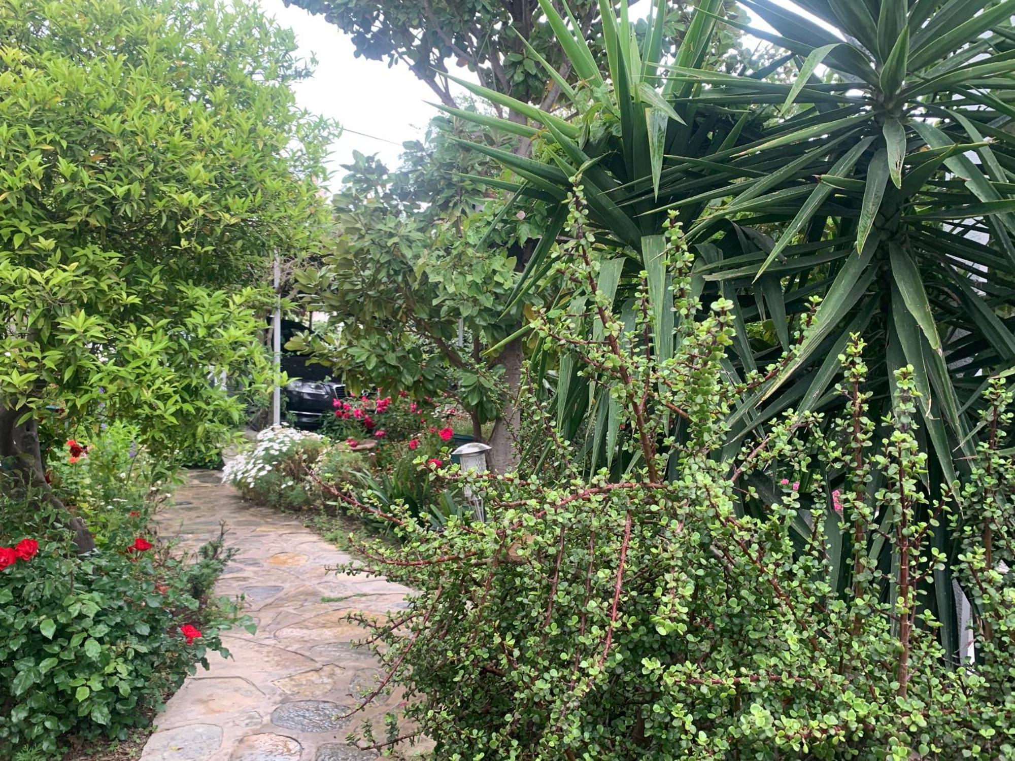 Tatil Evi Cedi