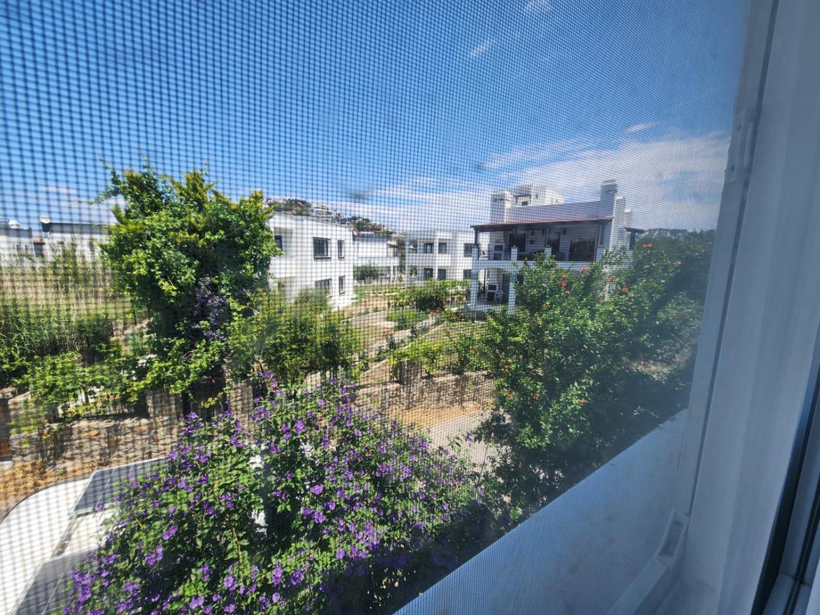 Tatil Evi Cedi