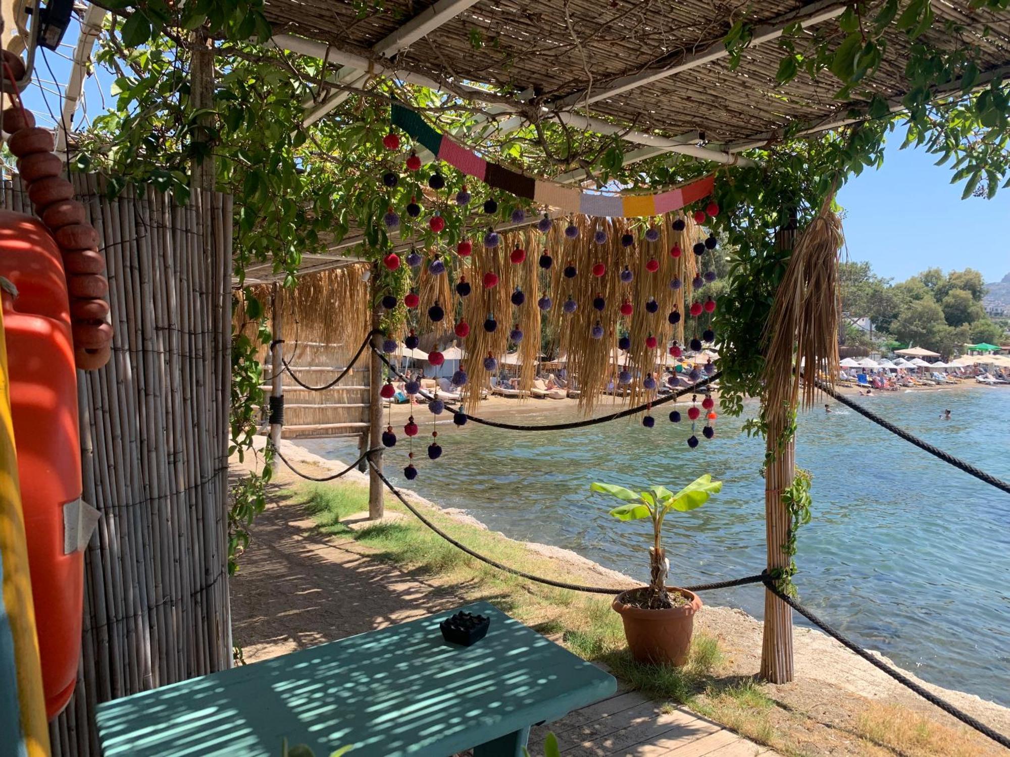 Cedi Holiday home